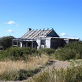 IMG 1547