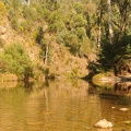 DSC 0709