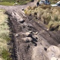 Tasmania 03 (2)