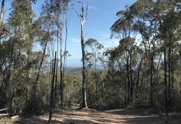 2019-09 Mitchell River National Park